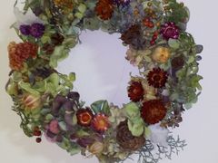 �܂��݂���̃i�`�������K�[�f���숢�h�ւ̓��e�ʐ^1