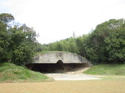 ̂䂫̈P̍̓eʐ^1