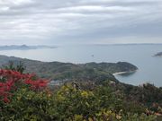 nyanco̔ΓiR}sj̓eʐ^5