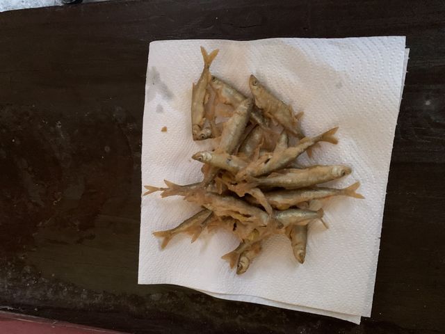 ���J�T�M�̃t���C_���Ȃ�܌΃L�����v��O�@�킩�����ނ�