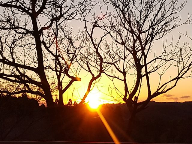 TCg猩̓B_匴z{I[gLv