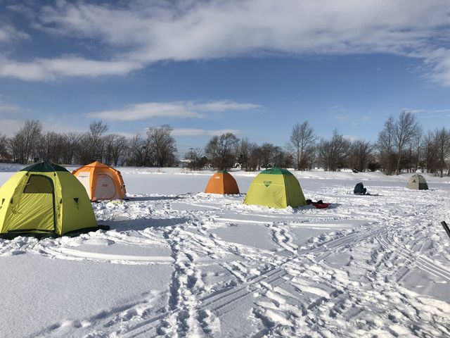 ���J�T�M�ނ�@5�g���炢�̕������܂���_HORTO�D�y