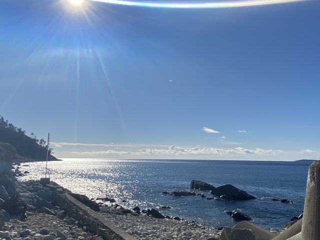 �t�F���[����ő��z�ƊC���Y��ŎB�����炱���Ȃ����I
�Q�q�̂���₭����_���؎R