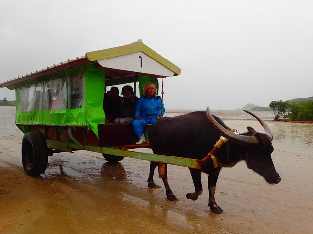 �����ԂŗR�z���֐��������Ɩ����Ă��Ă��n���B_���\���R�����u�X