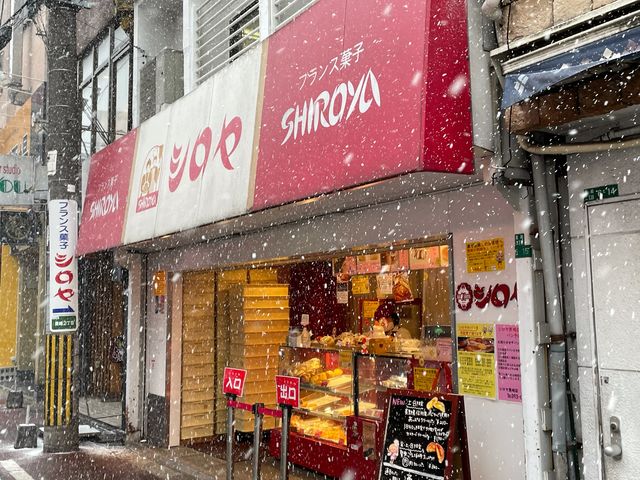 �V����_�V�����@����X