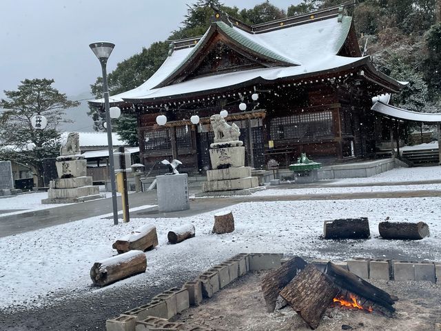 ����_���c�{