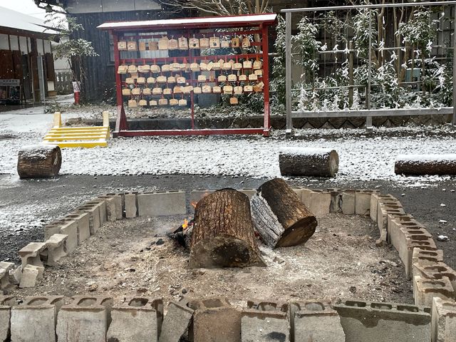 ������_���c�{