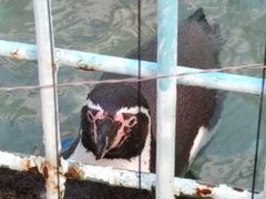 �D�˒B����̘a�̎R������������ւ̓��e�ʐ^2