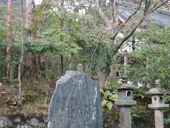 YanwenlỉF_Ђւ̓eʐ^1