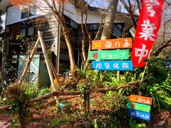 �͂�Ƃ���̈ɓ��̓��| �q�� ������ւ̓��e�ʐ^1