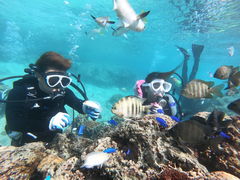 ݁[̃_Cu (MalDive)ւ̓eʐ^1