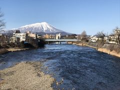 ꍂMT̖ki茧sjւ̓eʐ^1