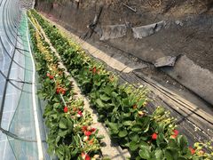 ݂䂽̂net@p[Ncafev\ւ̓eʐ^1