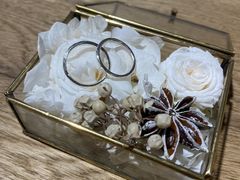 �Ȃ�����񂳂�̃W�����e�B�[���L�^�J�~�@�^�e�}�`�X�ւ̓��e�ʐ^1