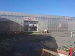 babyoil����̐�D���������ւ̓��e�ʐ^2