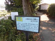 n̓Ԑ̏㋴ƑPL̓eʐ^1