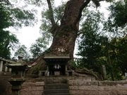 ݂тЂ߂̐ڐ_Ђ̓eʐ^1