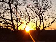 񂳂̑匴z{I[gLv̓eʐ^2