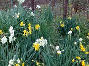 ������񂳂�̗��쐅�勽�̓��e�ʐ^1