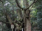 Yanwenli̍ǐ_Ђ̓eʐ^2