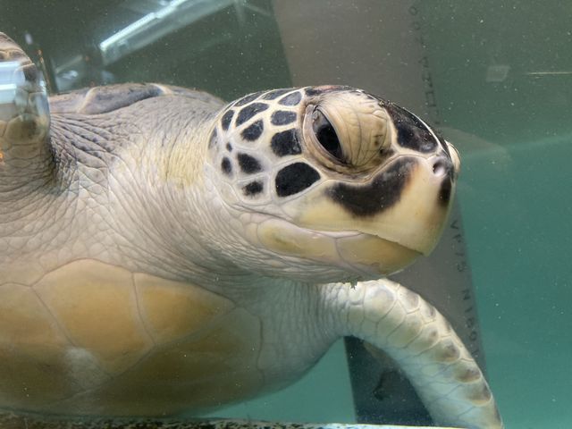 �n���Y�E�~�K��_�ނ�Ɣp�Z������