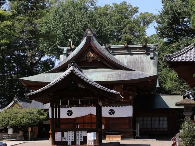 �q�a�Ɩ{�a�ł��B_�����ʐ_��