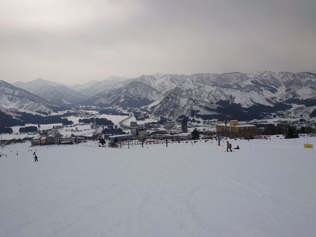 �i�F���ǂ��B_�⌴