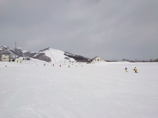 ���S�Ҍ����B�ɎΖʃQ�����f�B_�⌴