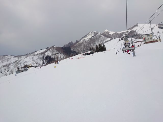 ����₷���R���f�B�V�����ł����B_�⌴