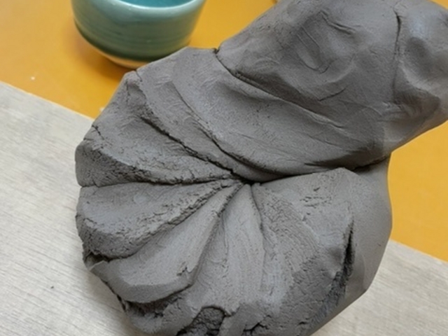 �u�����˂�v�Ƃ����H���̐搶�̌��{�B���ꂢ�ł��ʐ^���B��܂����B_���|�̌������A�g���G�M