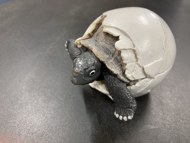 �Ԃ����a��_�ނ�Ɣp�Z������