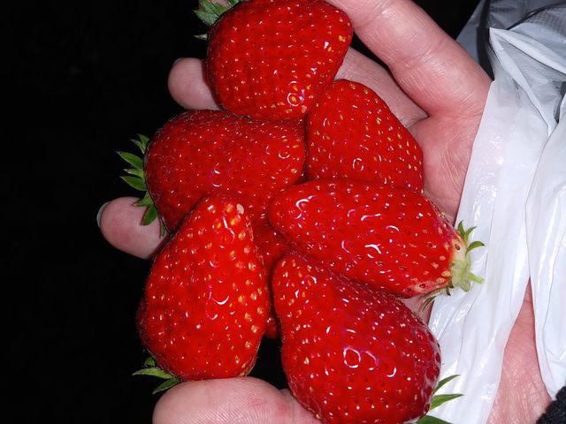 ����Ȃ���������������Ȃ��Ă܂����I_�₢�����R��������