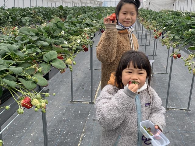 �q�B�����т��Ă܂���_������������