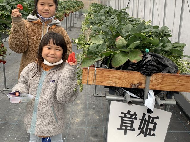 �͕P���w����Â��Ĕ����������܂�����_������������