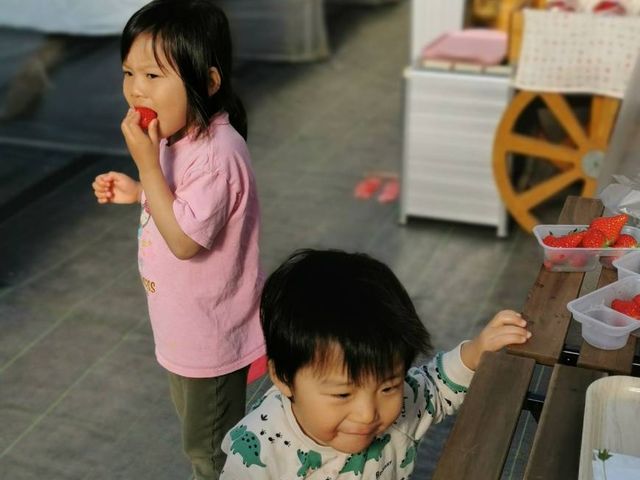 �喞���I_���؂������_��