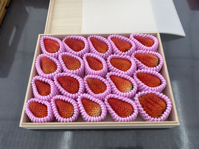 �˂̔��l�߂̂��y�Y���L��܂���_�A�O�������X�^�[�X�y�V����