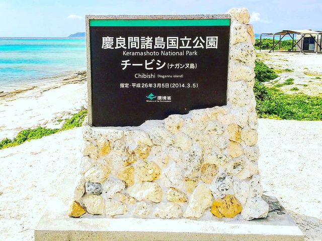 �c�Ǌԏ������������`�[�r�V�i�K���k���̈ē��B_������ЂƂ�����