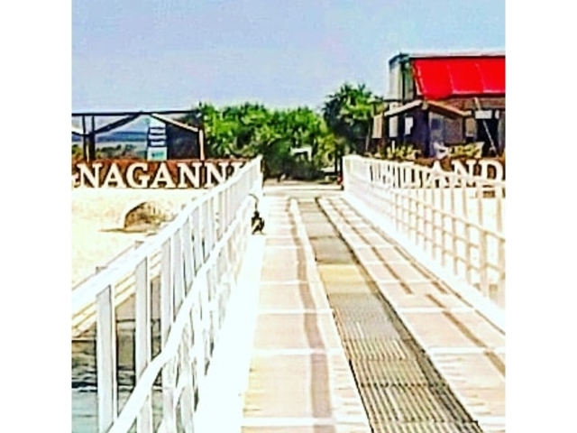 �V�����猩���i�K���k���B_������ЂƂ�����