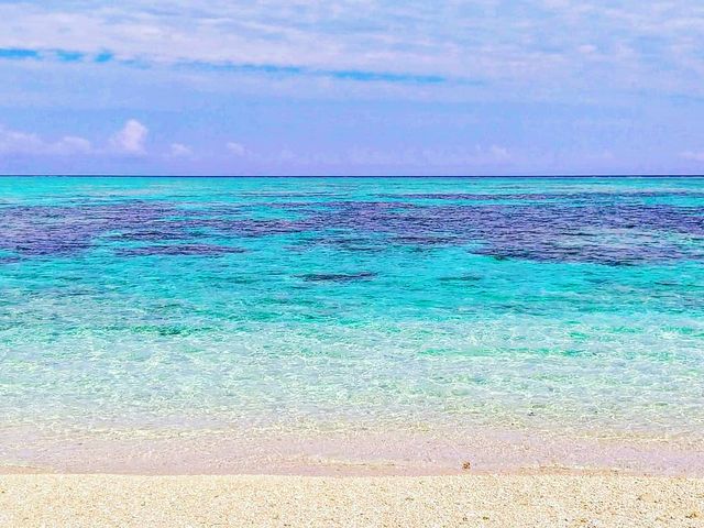 �Y��Ȕ����r�[�`���璭�߂�A�Y��őN�₩�ȃG�������h�O���[���̊C�B_������ЂƂ�����