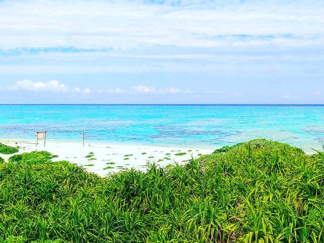 �Y��Ȕ����r�[�`���Y��őN�₩�ȃG�������h�O���[���̊C���ΑN�₩�Ȉ��M�т̐A���̃R���{���ɂ߂ďG��B_������ЂƂ�����