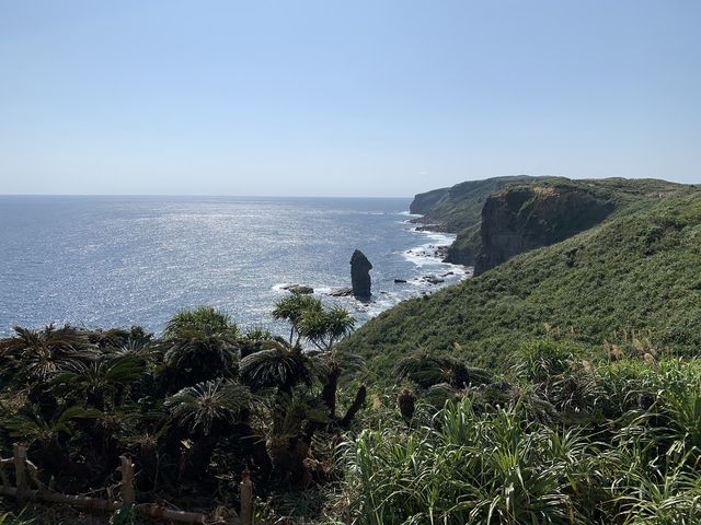 �����낤����̗��_��W�]��̓��e�ʐ^1