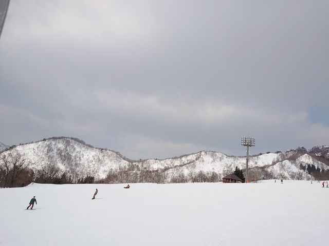 �󂢂Ă܂����B_�⌴