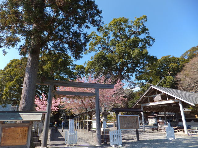 ����3�{����܂��B_���h�_�Ђ̑叾