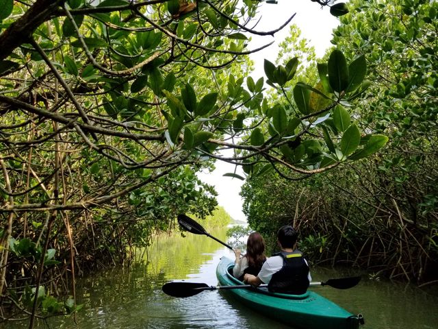 ガイドさんが撮ってくれた写真です!
たくさん撮ってくれたので大満足でした_OHCUS石垣島