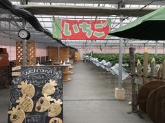 joumonfarmi傤ӂ[ށjւ̓eʐ^1