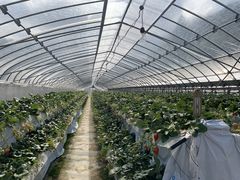 肱̃IN^t@[ւ̓eʐ^1