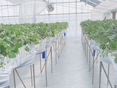 m̂HappyBerryւ̓eʐ^1