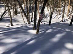 ݂̓rW^[Z^[ւ̓eʐ^2