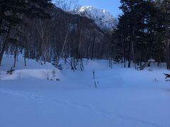 ݂̓rW^[Z^[ւ̓eʐ^3