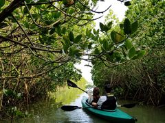 Ab`[OHCUSΊ_ւ̓eʐ^1